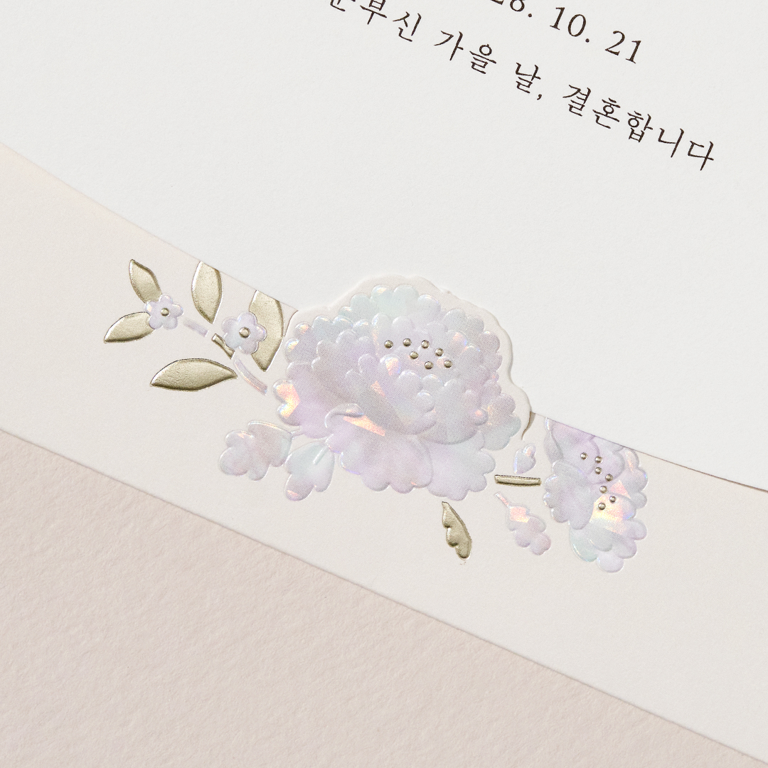 over 이미지