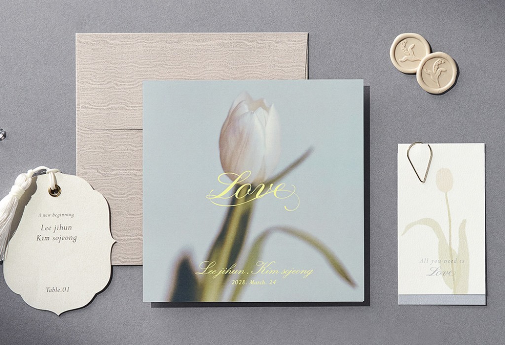 화이트 튤립 기본 이미지